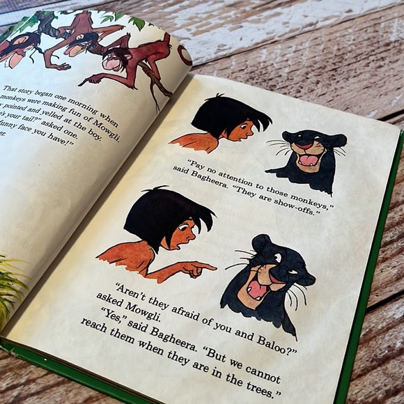 The Princess Who Never Laughed - Picture 11 of 14